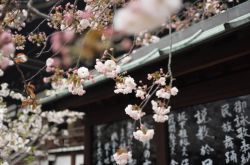 日本出台新规:限制加密货币保证金交易杠杆率